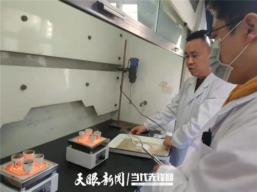 貴州綠茶科研突破 納米技術(shù)榮登國(guó)家重要成果名錄